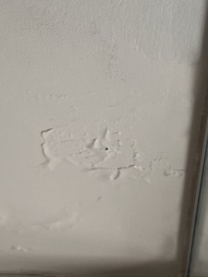 Clinton Hotel South Beach by null