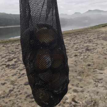 Nehalem Bay State Park - My bag of clams. - Campgrounds Near Me - Nehalem, Oregon Nehalem Bay State Park - My bag of clams. - Campgrounds Near Me - Nehalem, Oregon