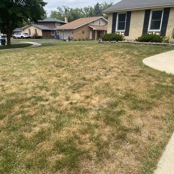 SpringGreen - Lawn after Spring Green treatment - Tree Services Near Me - Mokena, Illinois