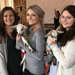 Shenanigoats Community Services