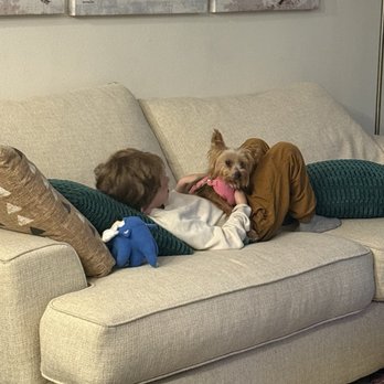 Animal Prayers - My oldest son is obsessed with her! Brushes her hair everyday and enjoys all the cuddles! - Pet Adoption Near Me