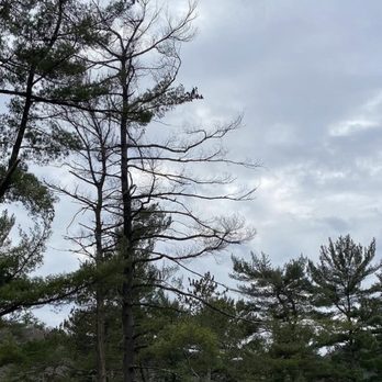 North Park - Parks Near Me - Allison Park, Pennsylvania
