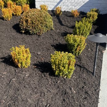 El Tapatio Landscaping - Mulch - Landscaping Near Me El Tapatio Landscaping - Mulch - Landscaping Near Me