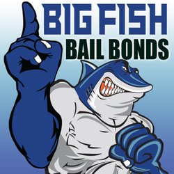 Big Fish Bail Bonds