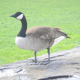Things I photographed during my hike on a beautiful day in June! Posted 05/10/19 Things I photographed during my hike on a beautiful day in June! Posted 05/10/19
