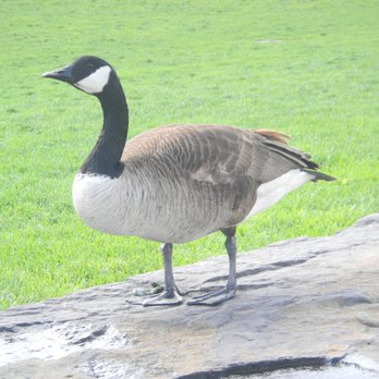Hudson River Park - Things I photographed during my hike on a beautiful day in June! Posted 05/10/19 - Parks Near Me - New York, New York Hudson River Park - Things I photographed during my hike on a beautiful day in June! Posted 05/10/19 - Parks Near Me - New York, New York