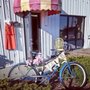 Photo of The Eclectic Rose