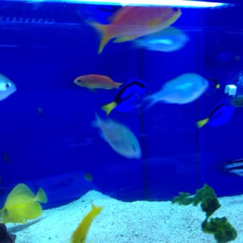 Underwater Depot - Aquarium Services Near Me - Sherman Oaks, California Underwater Depot - Aquarium Services Near Me - Sherman Oaks, California