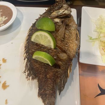 Fresh Jalapeno - Whole tilapia - Mexican Near Me - Lady Lake, Florida Fresh Jalapeno - Whole tilapia - Mexican Near Me - Lady Lake, Florida