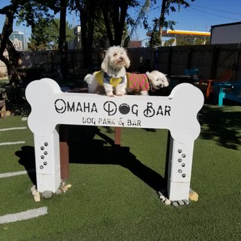 Omaha Dog Bar - Photo op - Dog Parks Near Me - Omaha, Nebraska Omaha Dog Bar - Photo op - Dog Parks Near Me - Omaha, Nebraska