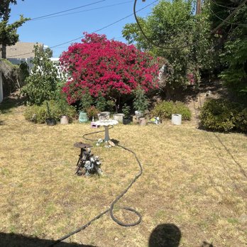Squeaky Service - Clean window - Window Washing Near Me Squeaky Service - Clean window - Window Washing Near Me