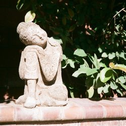 Bill's Camera - Test shot on Canon Sureshot // Fujifilm Superia 400. Excellent detail and scan quality.