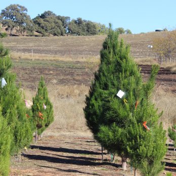 Jack Creek Farms - Fruits & Veggies Near Me - Templeton, California