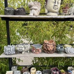 Birdhouse Garden