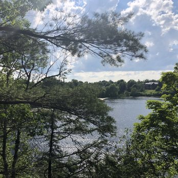 Treetop Trekking - View from one of the platforms. - Ziplining Near Me - Brampton, Ontario
