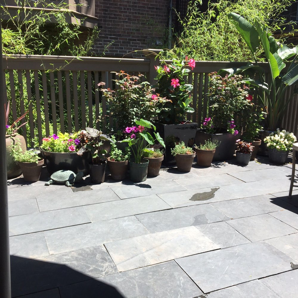 Clarendon Square - Love the roof deck and back patio - Bed & Breakfast Near Me - Boston, Massachusetts Clarendon Square - Love the roof deck and back patio - Bed & Breakfast Near Me - Boston, Massachusetts