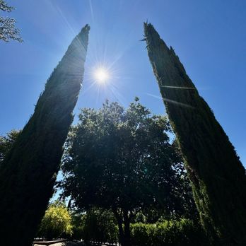 Allegretto Vineyard Resort - Resorts Near Me - Paso Robles, California