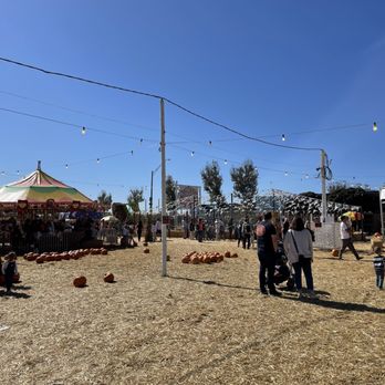 Pa's Pumpkin Patch - Amusement Parks Near Me - Lakewood, California Pa's Pumpkin Patch - Amusement Parks Near Me - Lakewood, California