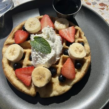 Parakeet Cafe - Carlsbad - The Protein Waffle (gf) - Coffee & Tea Near Me - Carlsbad, California Parakeet Cafe - Carlsbad - The Protein Waffle (gf) - Coffee & Tea Near Me - Carlsbad, California