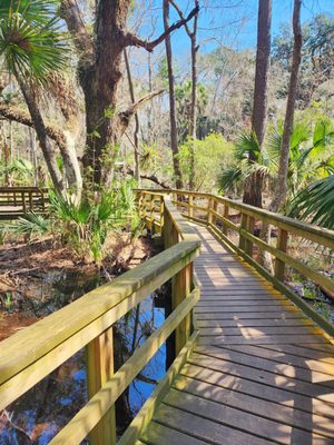 Sea Pines Forest Preserve by null