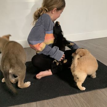 Spirit Yoga Studios - Puppy yoga - Yoga Near Me - San Diego, California Spirit Yoga Studios - Puppy yoga - Yoga Near Me - San Diego, California