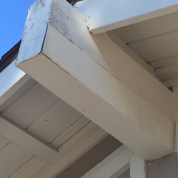 Del Rio Pest Control - Looks straight. - Pest Control Near Me - Duarte, California Del Rio Pest Control - Looks straight. - Pest Control Near Me - Duarte, California