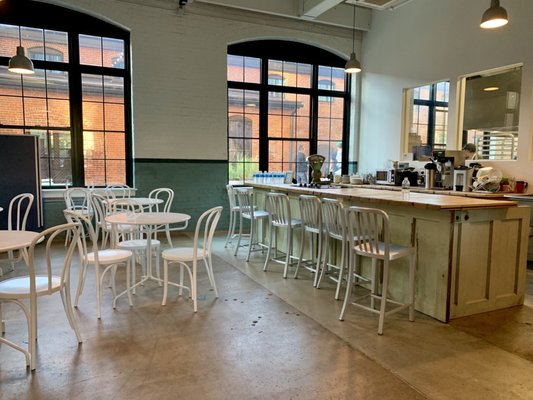 KNEAD Doughnuts by null