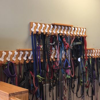 Camp Bow Wow - As someone whose worked in kennels got to say they really have their system down. - Pet Training Near Me - Aurora, Colorado Camp Bow Wow - As someone whose worked in kennels got to say they really have their system down. - Pet Training Near Me - Aurora, Colorado