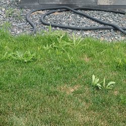 Green Blade Lawn Care