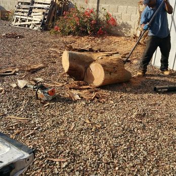 Daniel Landscaping - Big stomp - Landscaping Near Me Daniel Landscaping - Big stomp - Landscaping Near Me