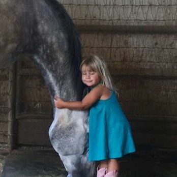 Cave Creek Saddlery - Granddaughter and her young thoroughbred horse, Sky - Horse Equipment Shops Near Me - Cave Creek, Arizona Cave Creek Saddlery - Granddaughter and her young thoroughbred horse, Sky - Horse Equipment Shops Near Me - Cave Creek, Arizona
