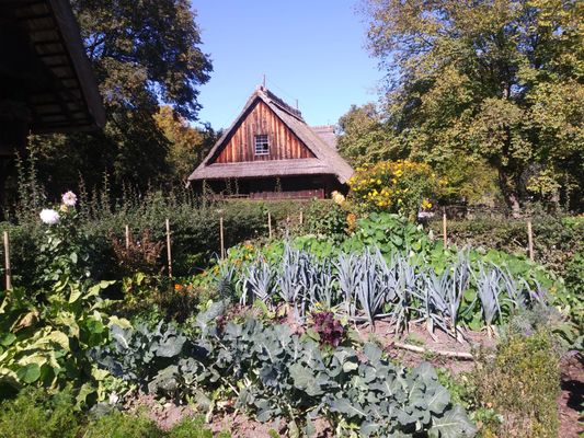 Black Forest Open Air Museum by null