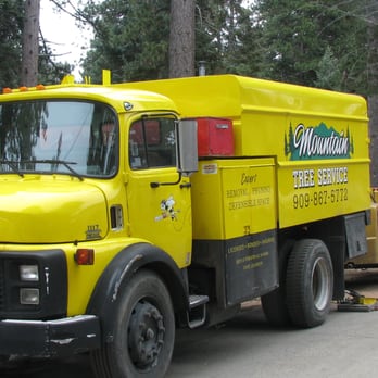 Mountain Tree Service - Tree Services Near Me - Running Springs, California Mountain Tree Service - Tree Services Near Me - Running Springs, California