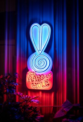 The Rabbit Hole by null