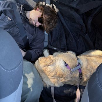 Ayusa - Slumped on a road trip! - Community Service/Non-Profit Near Me - San Francisco, California