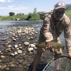 Gunnison River Fly Shop  - Fish