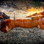 Photo of Momo's Grill - Feuerferkel auf Achse