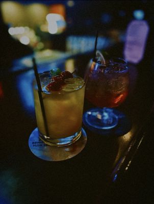 The Partisan by null