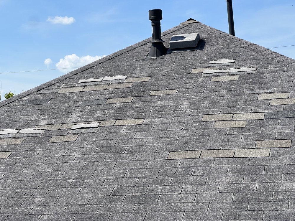 Slide of Roof Bullies