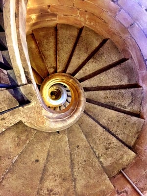 Catedral de Jerez de la Frontera / Colegiata de Nuestro Señor San Salvador by null