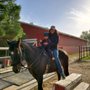 Photo of Miller Horse Farm & Riding Academy