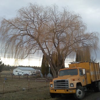 Arbor 1 Tree Service - Tree Services Near Me - Bend, Oregon