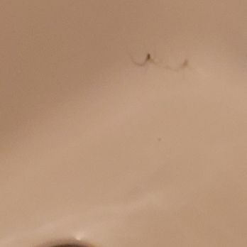 Asilomar Conference Grounds - Spiders in the tub. - Hotels Near Me - Pacific Grove, California Asilomar Conference Grounds - Spiders in the tub. - Hotels Near Me - Pacific Grove, California