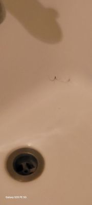 Asilomar Hotel and Conference Grounds by null