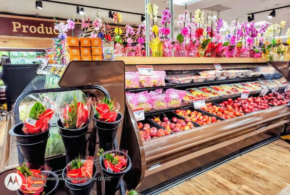 KTA Super Stores - Puainako by null