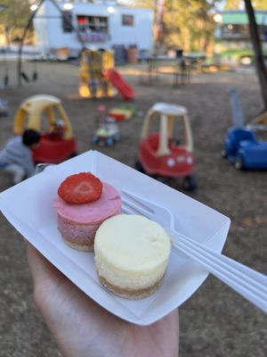The Celia Jacobs Cheesecake Experience by null