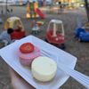 The Celia Jacobs Cheesecake Experience gift card