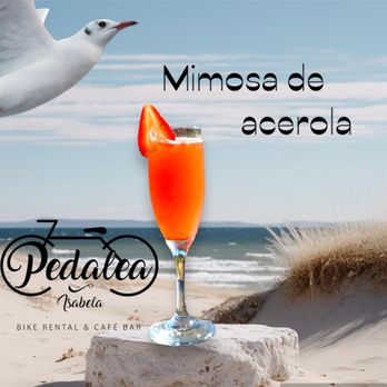 Pedalea Isabela - Saturday and Sunday Brunch - Cafes Near Me - Isabela, Puerto Rico Pedalea Isabela - Saturday and Sunday Brunch - Cafes Near Me - Isabela, Puerto Rico