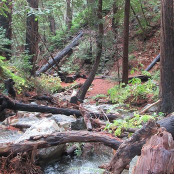 Limekiln State Park - Campgrounds Near Me - Big Sur, California