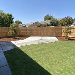 Mid Valley Trees - Japanese Maple & Crape Myrtle